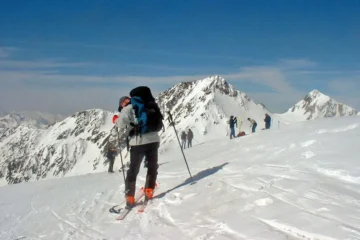 PALLABIANCA2a