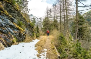 spitze12