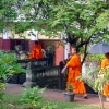 5 Luang Prabang giovani studenti buddisti