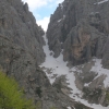 forcella mose 24.05.05 054