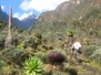 Uganda-Ruwenzori