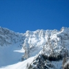 WeinaschOst250306