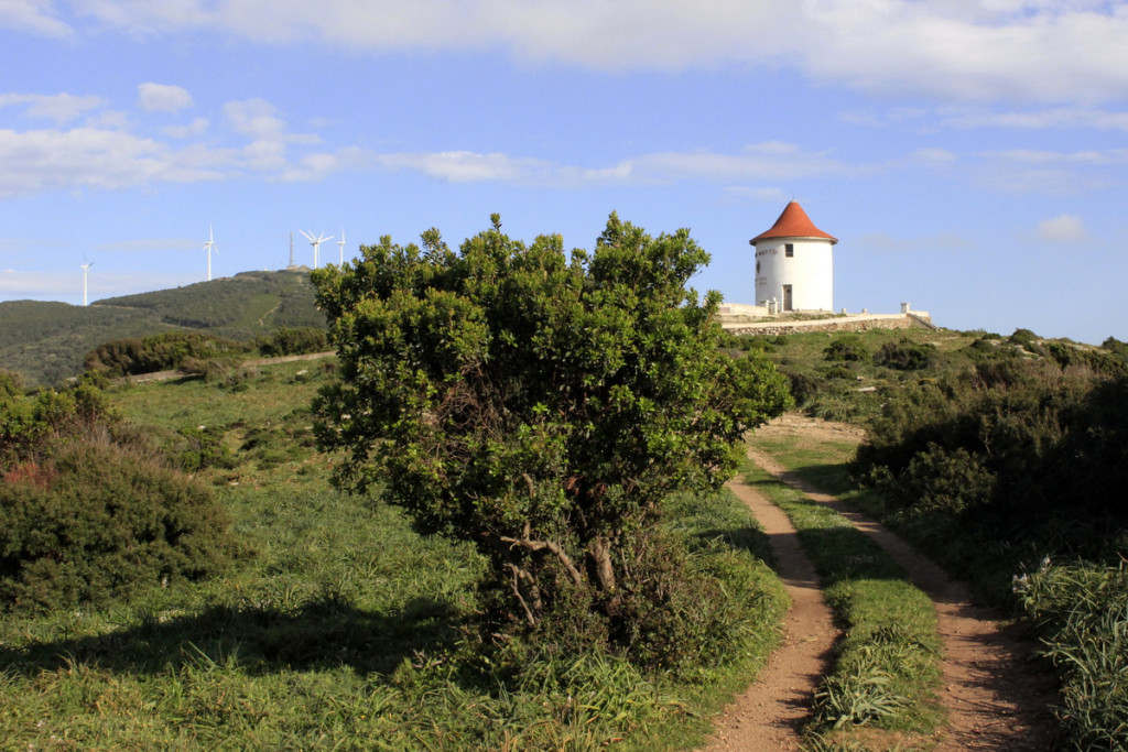 Centuri, Moulin Mattei, uno dei pochi mulini a vento della Corsica, simbolo di Cap Corse e del famoso aperitivo corso.